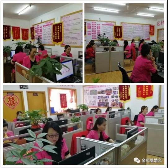 金凤凰全球婚恋